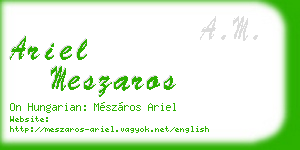 ariel meszaros business card